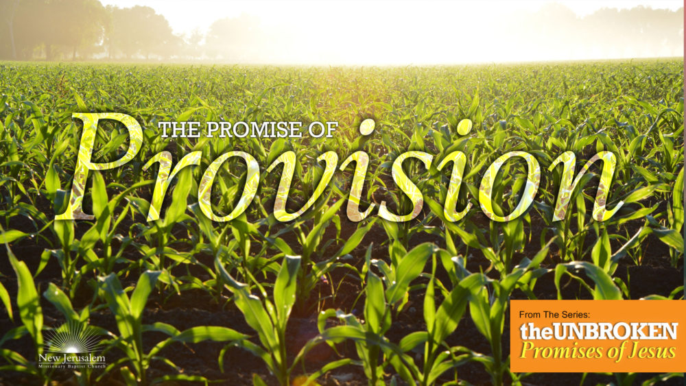 The Promise of Provision Image